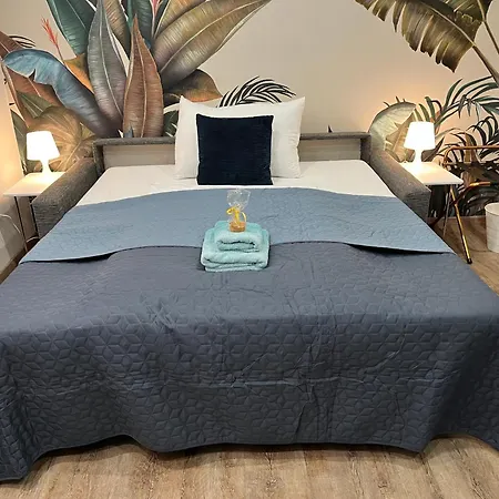 Apartment Rudolfquartier Linz, Rudolfstraße
