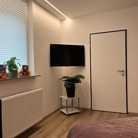 Rudolfquartier Linz, Rudolfstraße