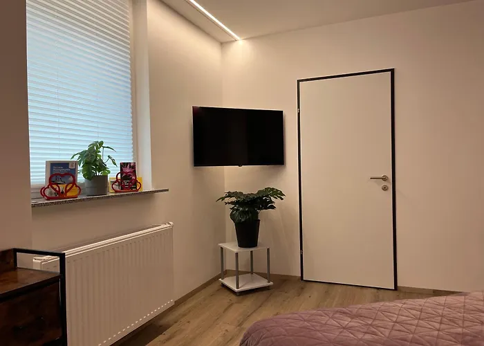 Rudolfquartier Linz, Rudolfstraße