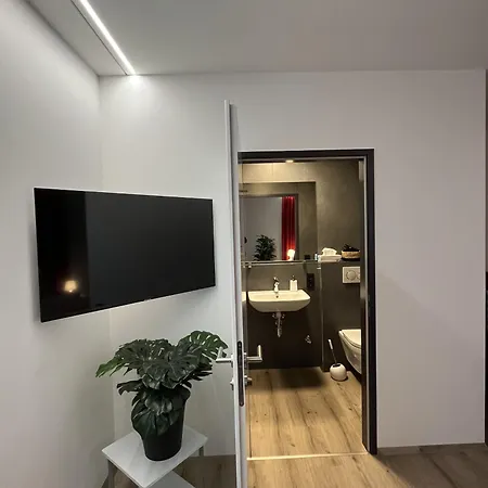 Rudolfquartier Linz, Rudolfstrasse * リンツ
